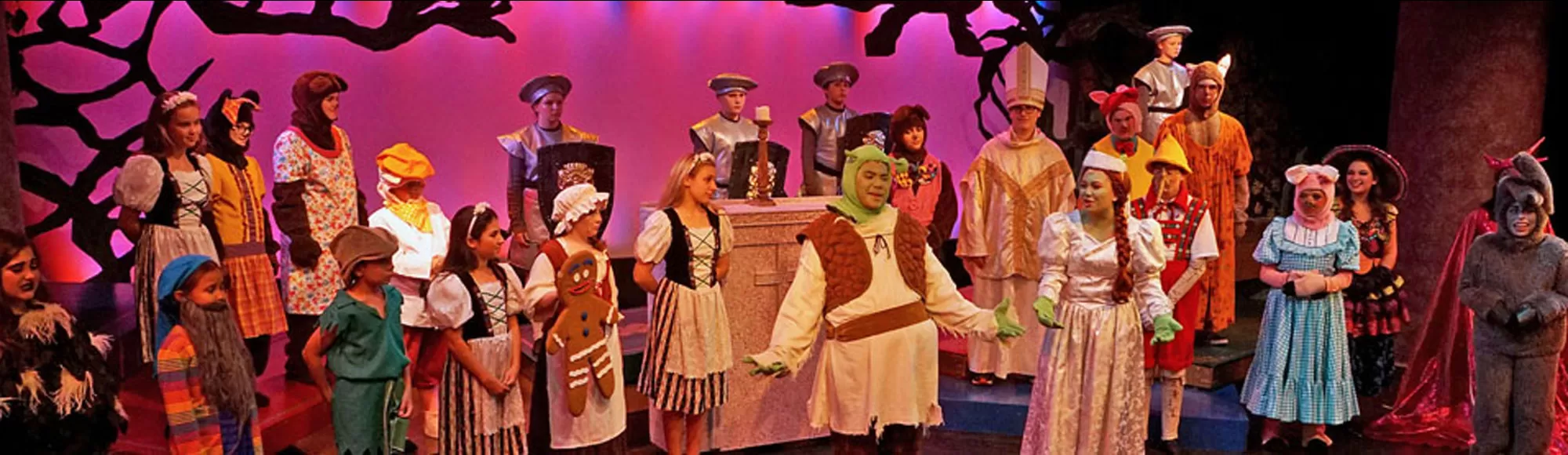 Shrek Jr the Musical